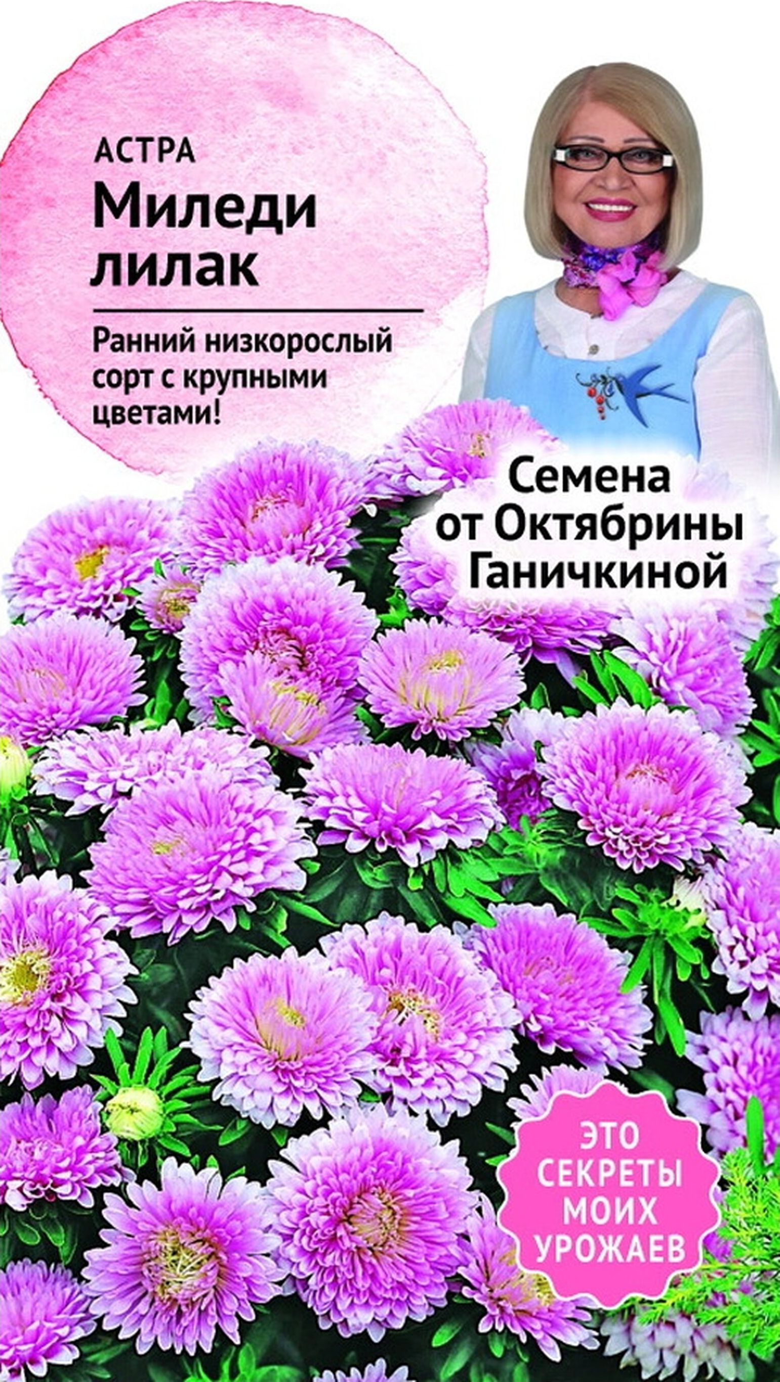 Астра Миледи Лилак