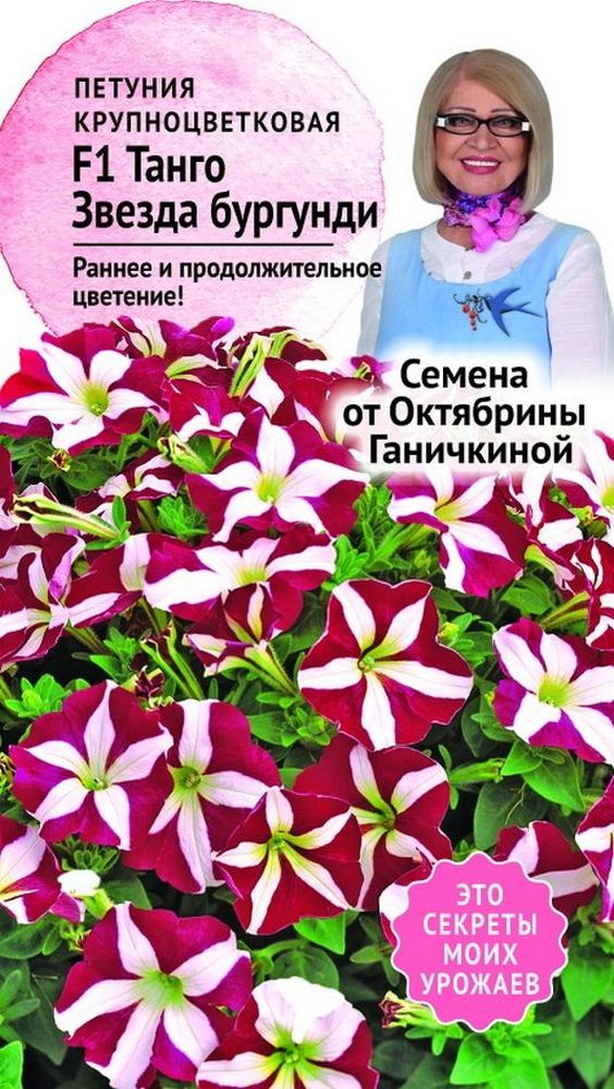 Изображение товара Семена Петунии Октябрина Ганичкина Танго Звезда бургунди F1 10 шт