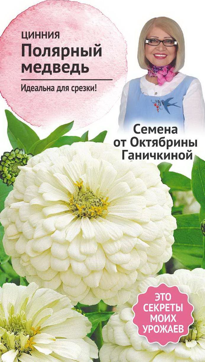 Изображение товара Семена Циннии Октябрина Ганичкина Полярный медведь 0,5 г