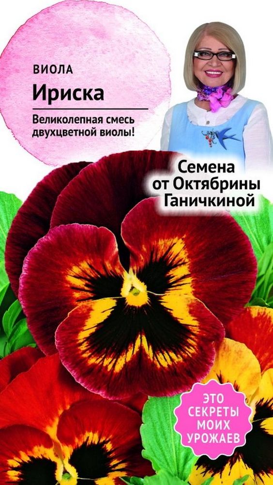 Изображение товара Семена Виолы Октябрина Ганичкина Ириска 0,05 г