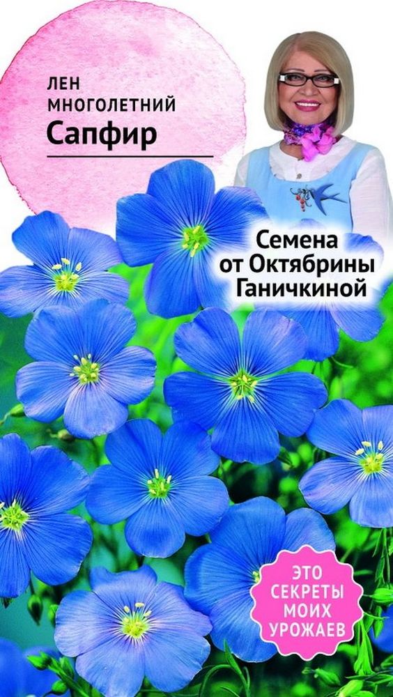 Изображение товара Семена Льна Октябрина Ганичкина Сапфир 10 шт