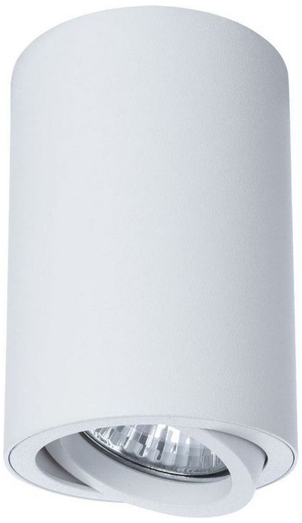 Изображение товара Потолочный светильник ARTE Lamp SENTRY A1560PL-1WH