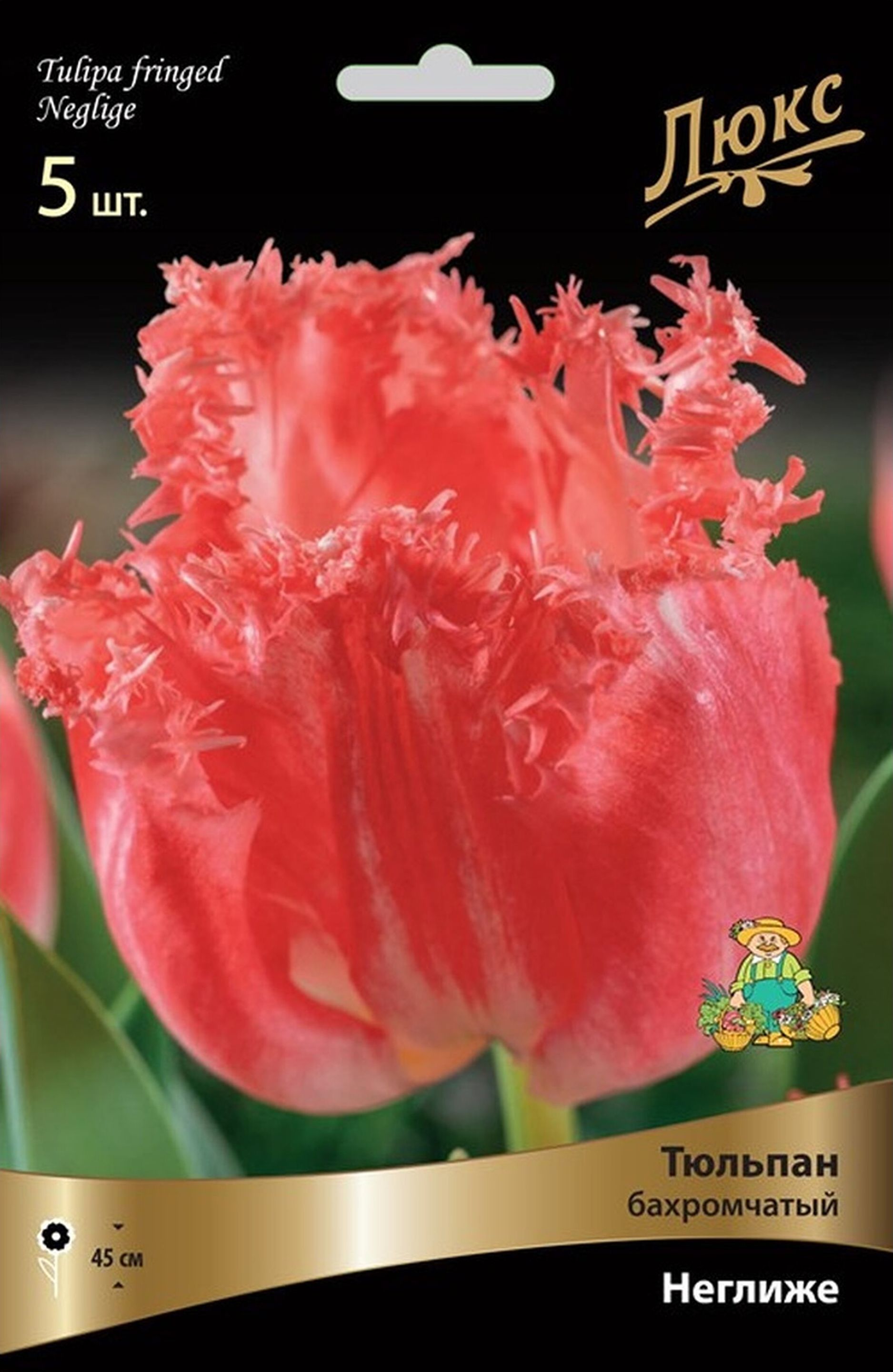 Изображение товара Луковицы тюльпана бахромчатого ПОИСК Люкс Неглиже 5 шт, морозостойкие
