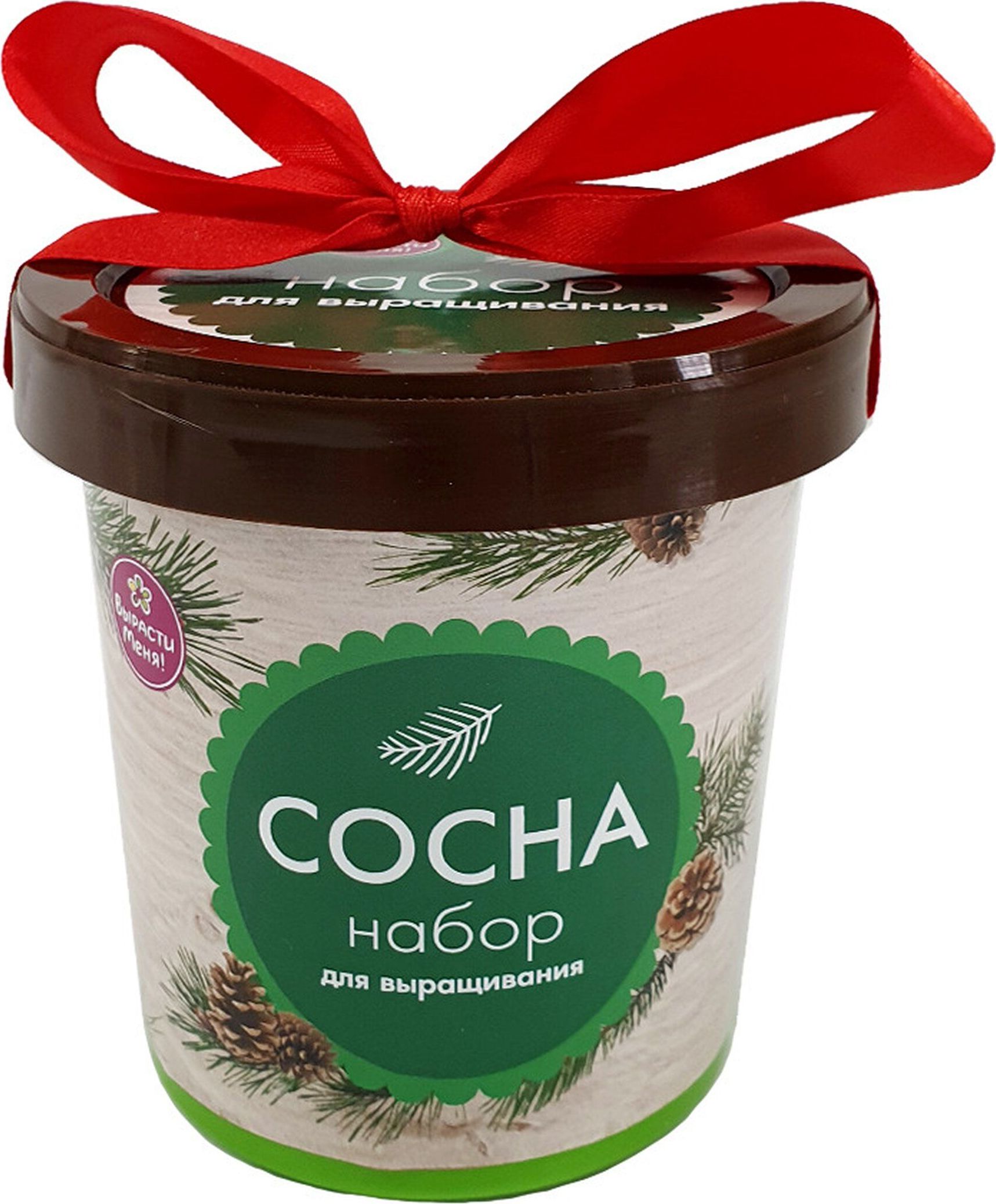 Изображение товара Набор для выращивания Happy Plant Сосна – комплект для проращивания