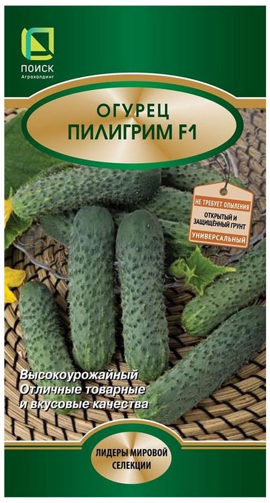 Изображение товара Семена Огурца ПОИСК Пилигрим F1 12 x 12 шт