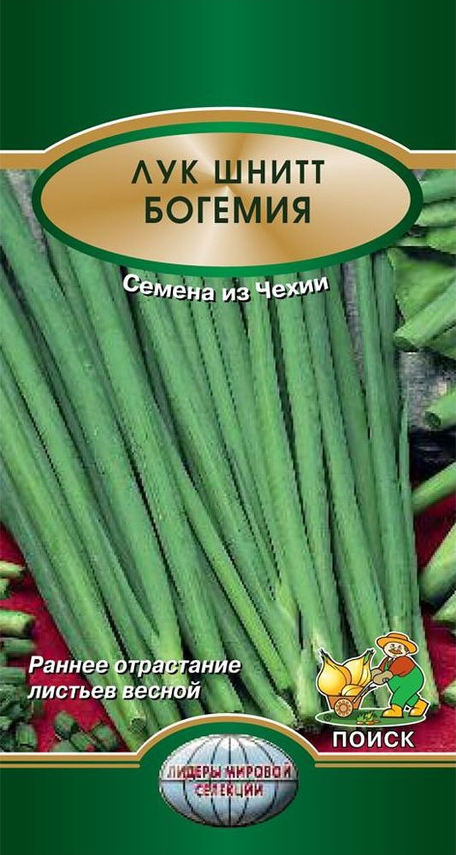 Изображение товара Семена Шнитт-лука ПОИСК Богемия 0,5 г