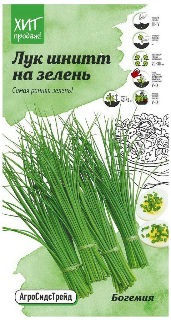 Изображение товара Семена Лука Детская грядка Богемия на зелень 0,5 г