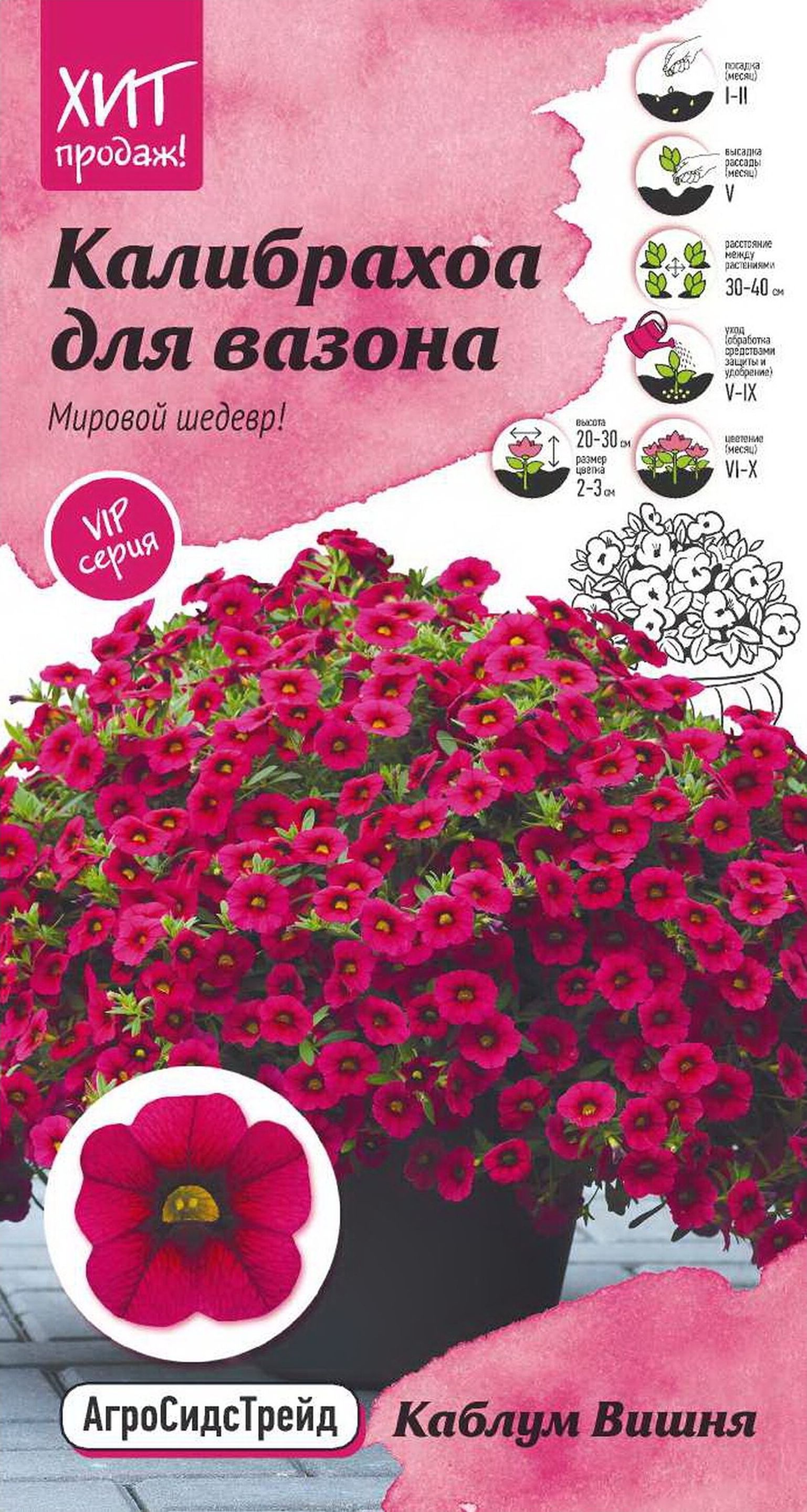 Калибрахоа Семена Купить Тольятти