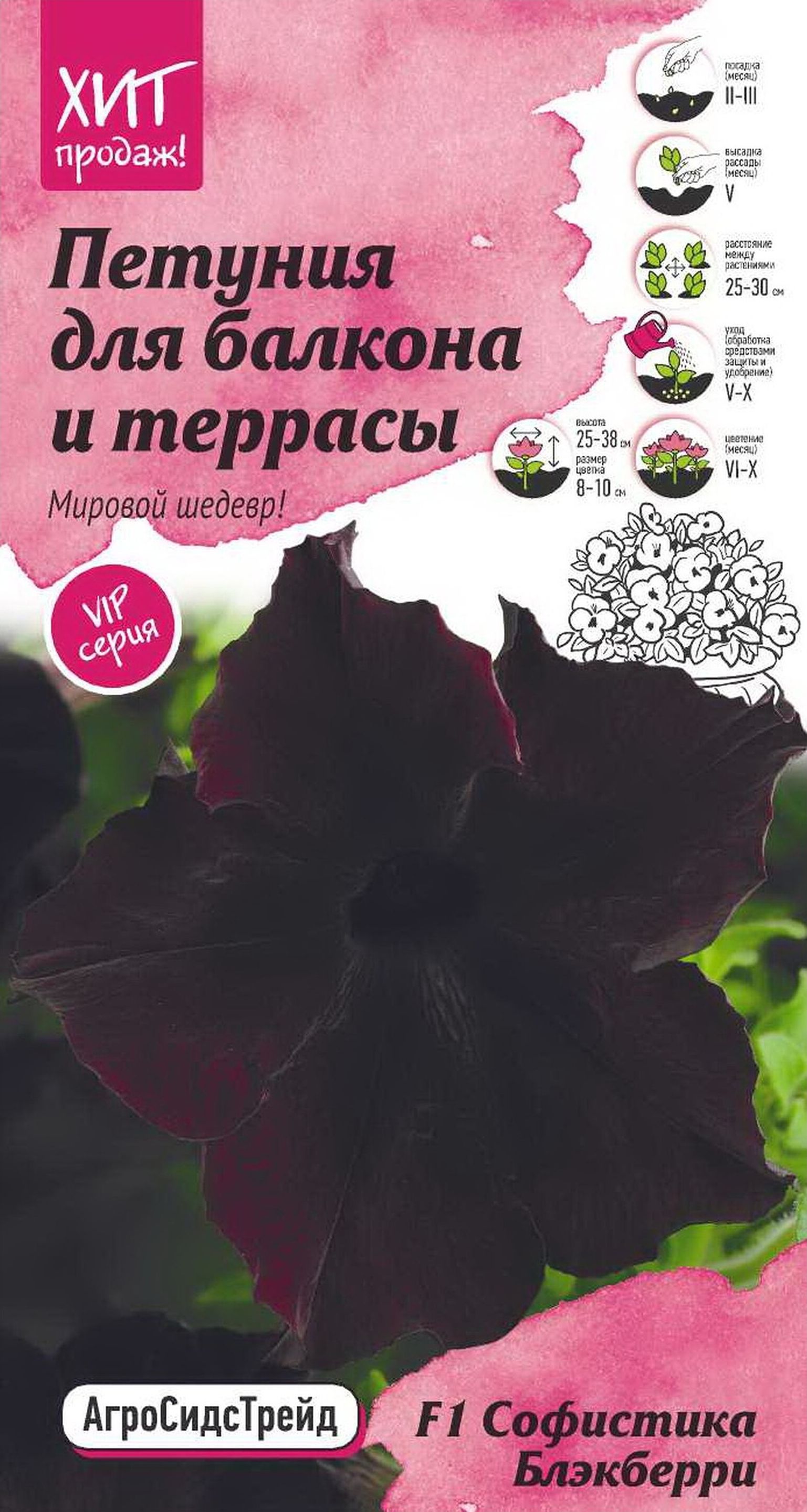 Изображение товара Семена Петунии Октябрина Ганичкина Софистика блэкберри 5 шт