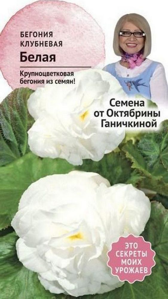 Изображение товара Семена Бегонии клубневой Октябрина Ганичкина белая 6 шт