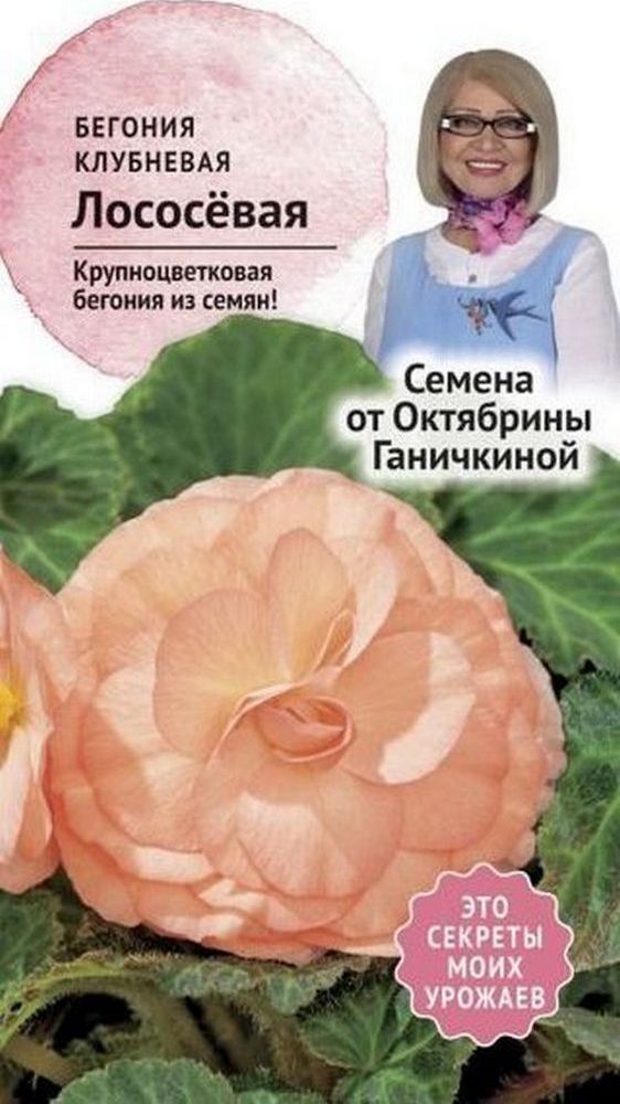 Изображение товара Семена Бегонии клубневой Октябрина Ганичкина лососевая 6 шт