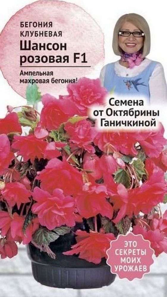 Изображение товара Семена Бегонии клубневой Октябрина Ганичкина Шансон розовая F1 6 шт