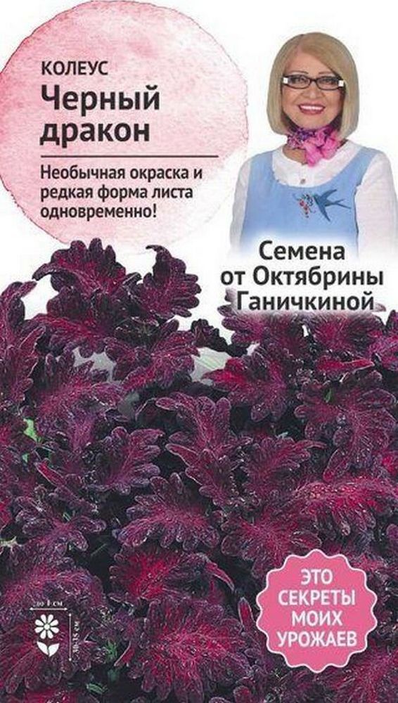 Изображение товара Семена Колеуса Октябрина Ганичкина Черный дракон 10 шт