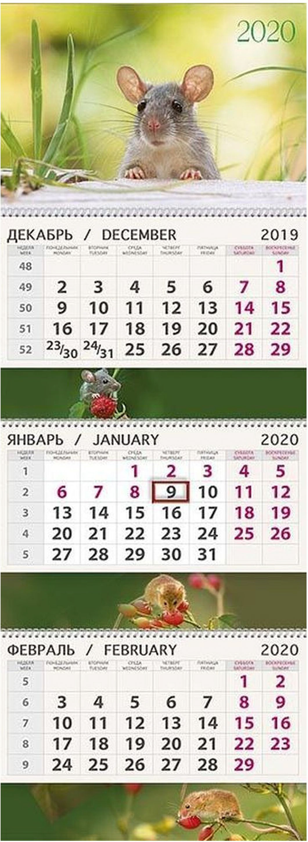 Изображение товара Календарь Мышка 295х210 мм - Поквартальный планер с отрывными страницами