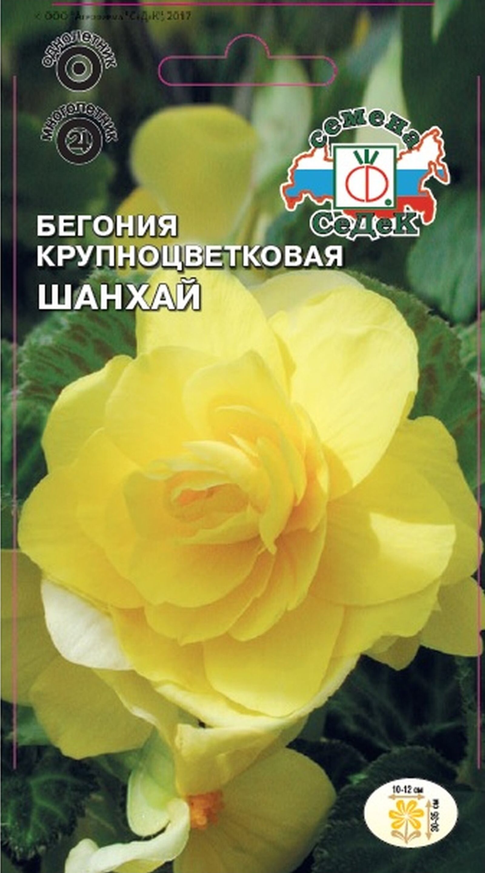 Изображение товара Семена Бегонии Шанхай 10 г яркие махровые цветы для клумб и балконов