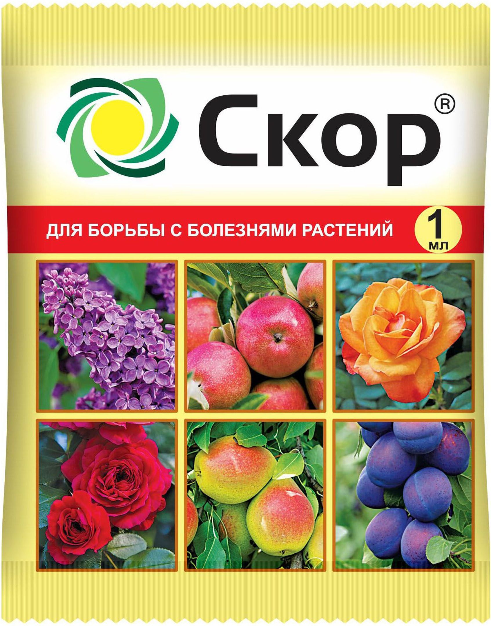 Изображение товара Средство защитное от болезней Фунгицид Скор 1 мл