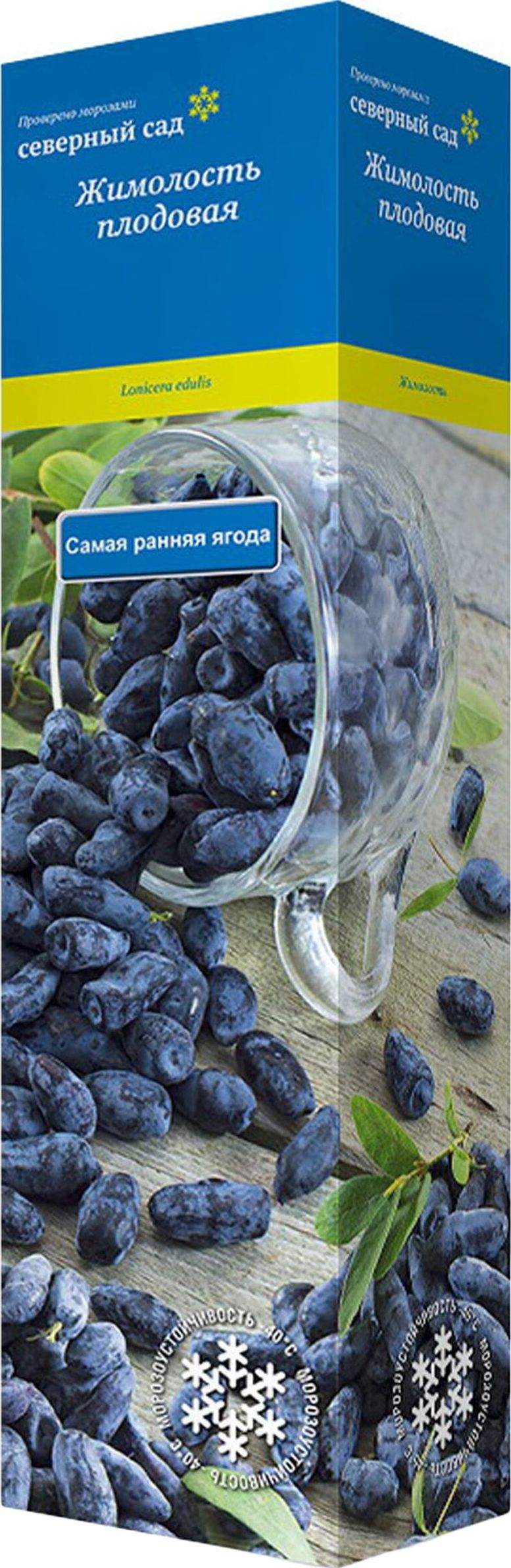 Изображение товара Жимолость съедобная Фиалка — морозостойкое ягодное растение для сада