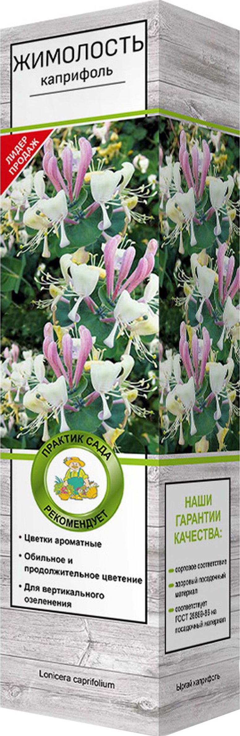 Изображение товара Саженец Жимолость Каприфоль С1 Н37