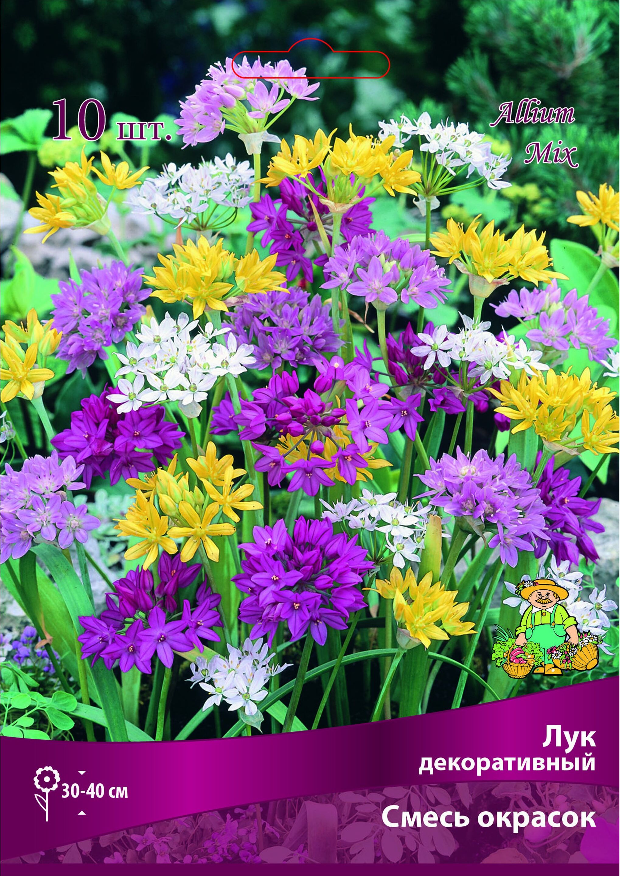 Изображение товара Лук-севок ПОИСК Декор микс 10 шт - яркое цветочное оформление сада