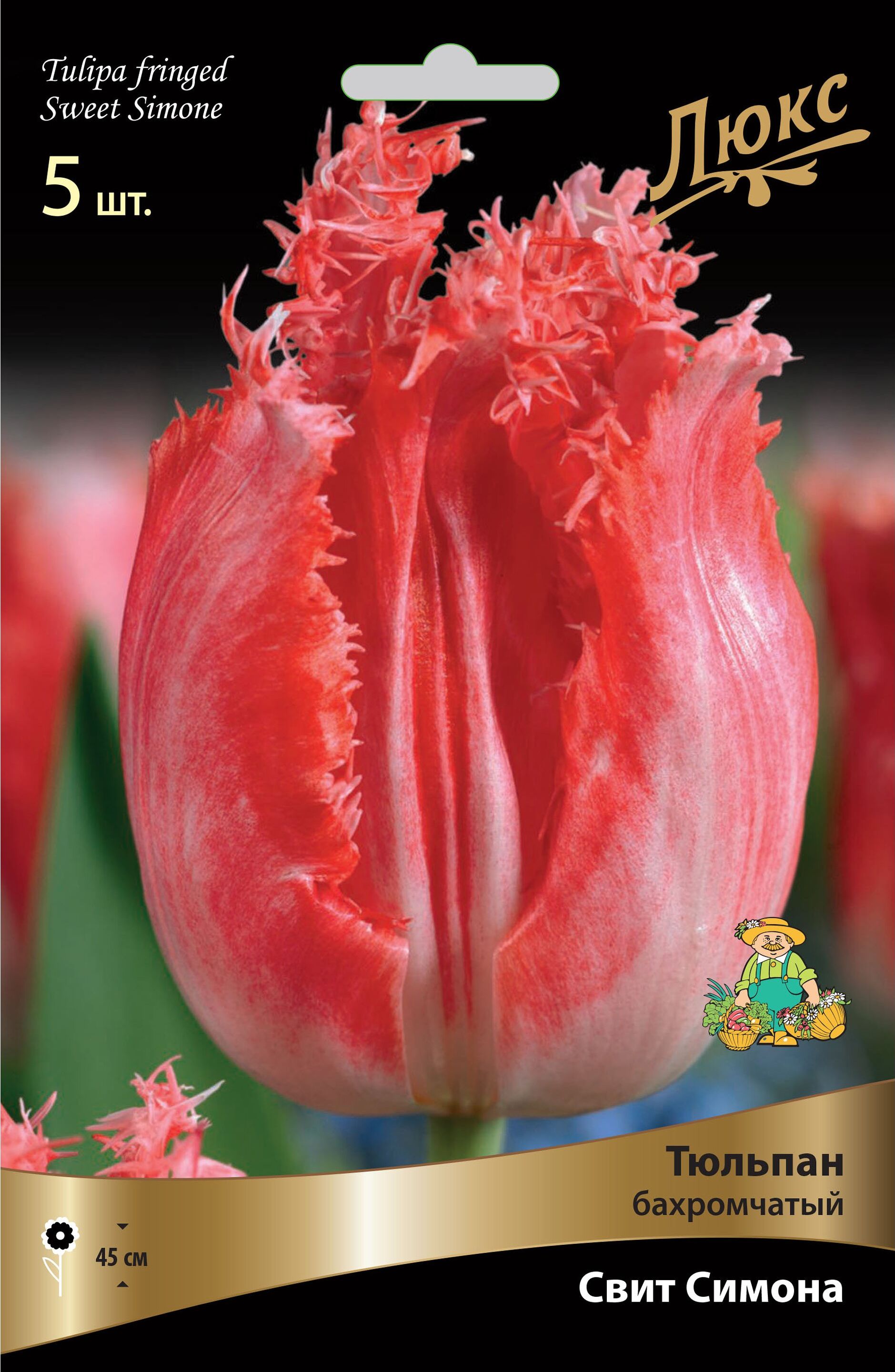 Изображение товара Луковицы тюльпана ПОИСК Свит Симона 5 шт бахромчатый красный