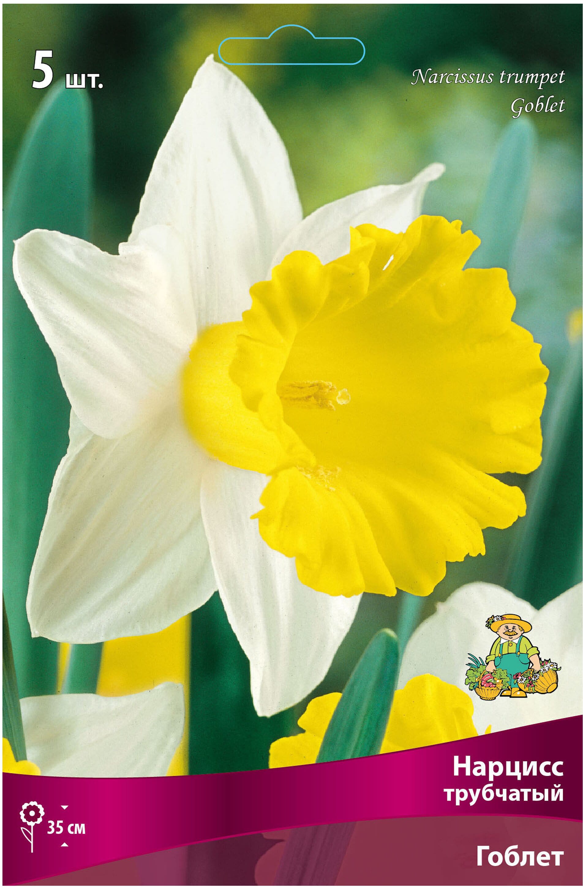 Изображение товара Луковицы Нарцисс ПОИСК Гоблет 3 шт