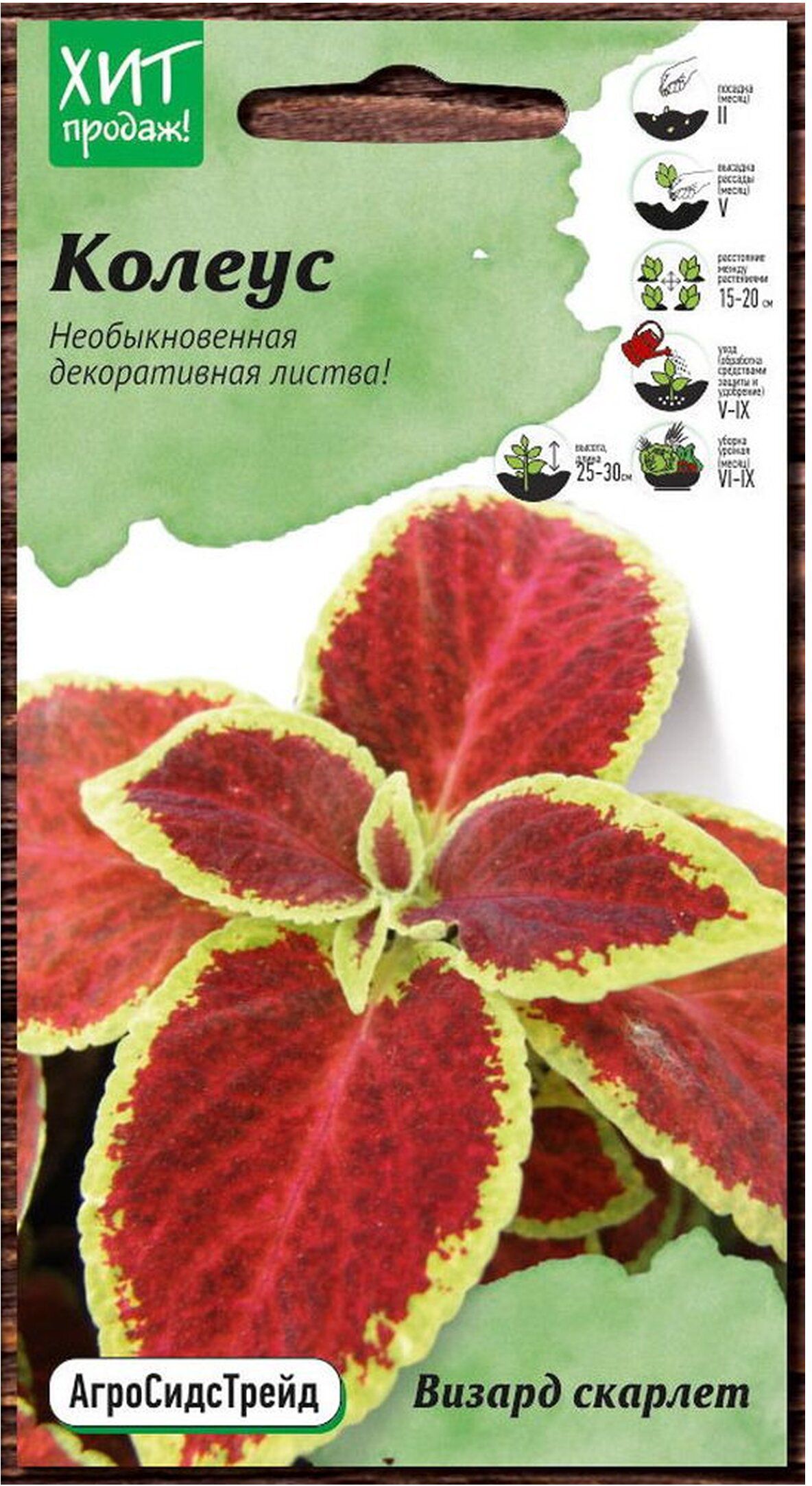 Изображение товара Семена Колеуса Визард скарлет 2 г агроСидсТрейд декоративное цветущее растение
