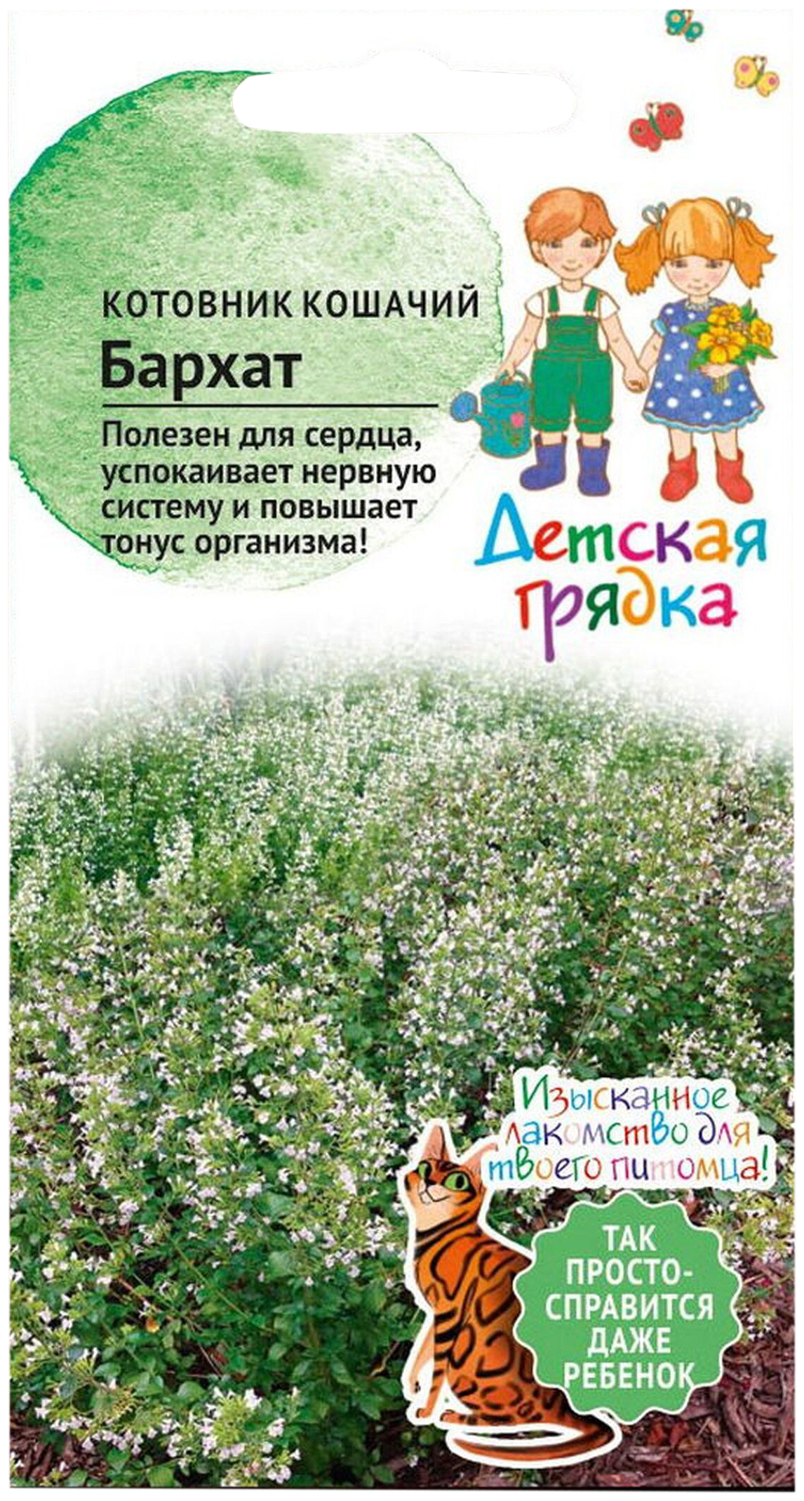Изображение товара Семена Котовника кошачьего АгроСидсТрейд Детская грядка Бархат 0,1 г
