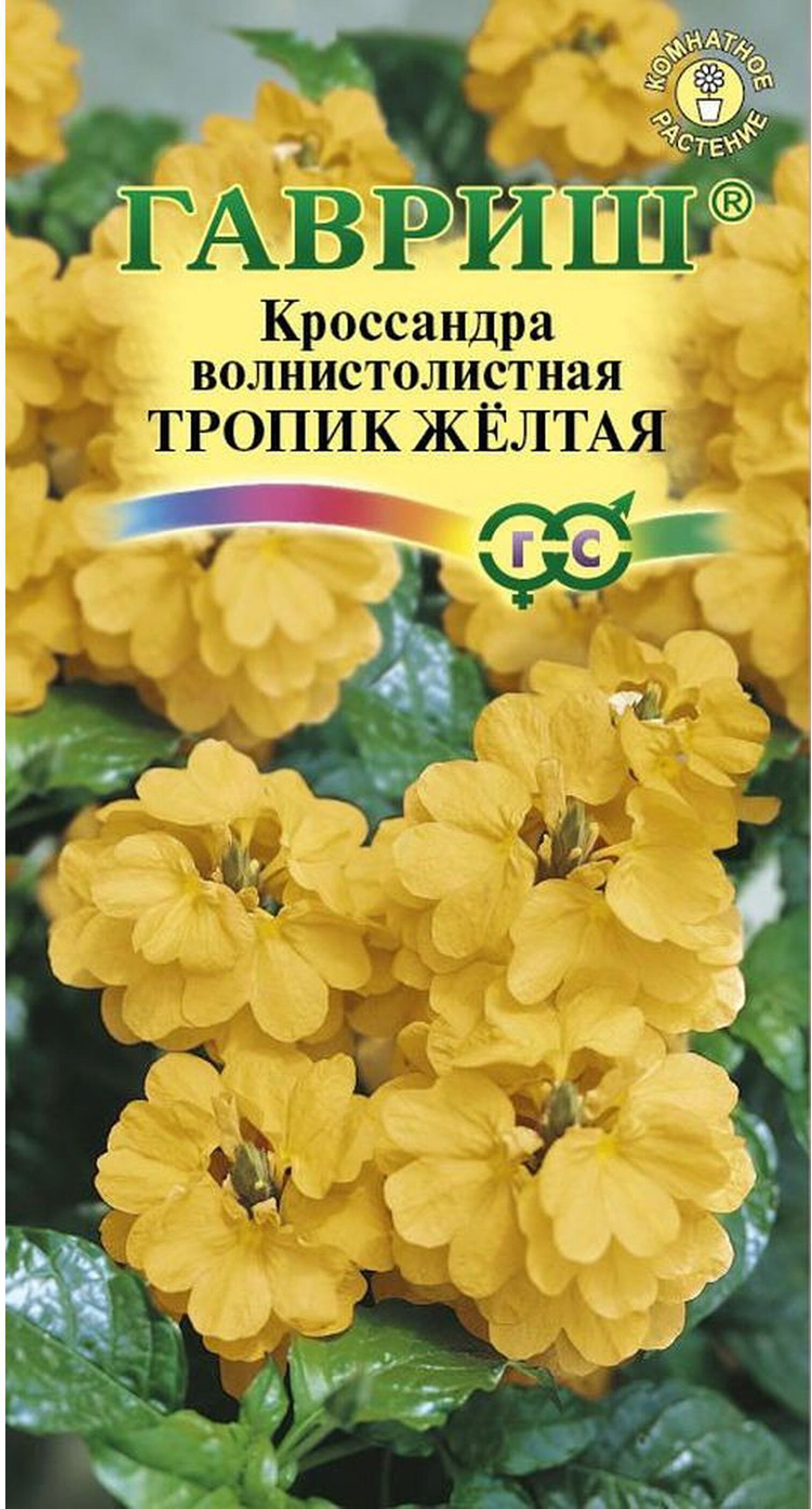 Изображение товара Семена Кроссандры ГАВРИШ Тропик желтая 3 шт