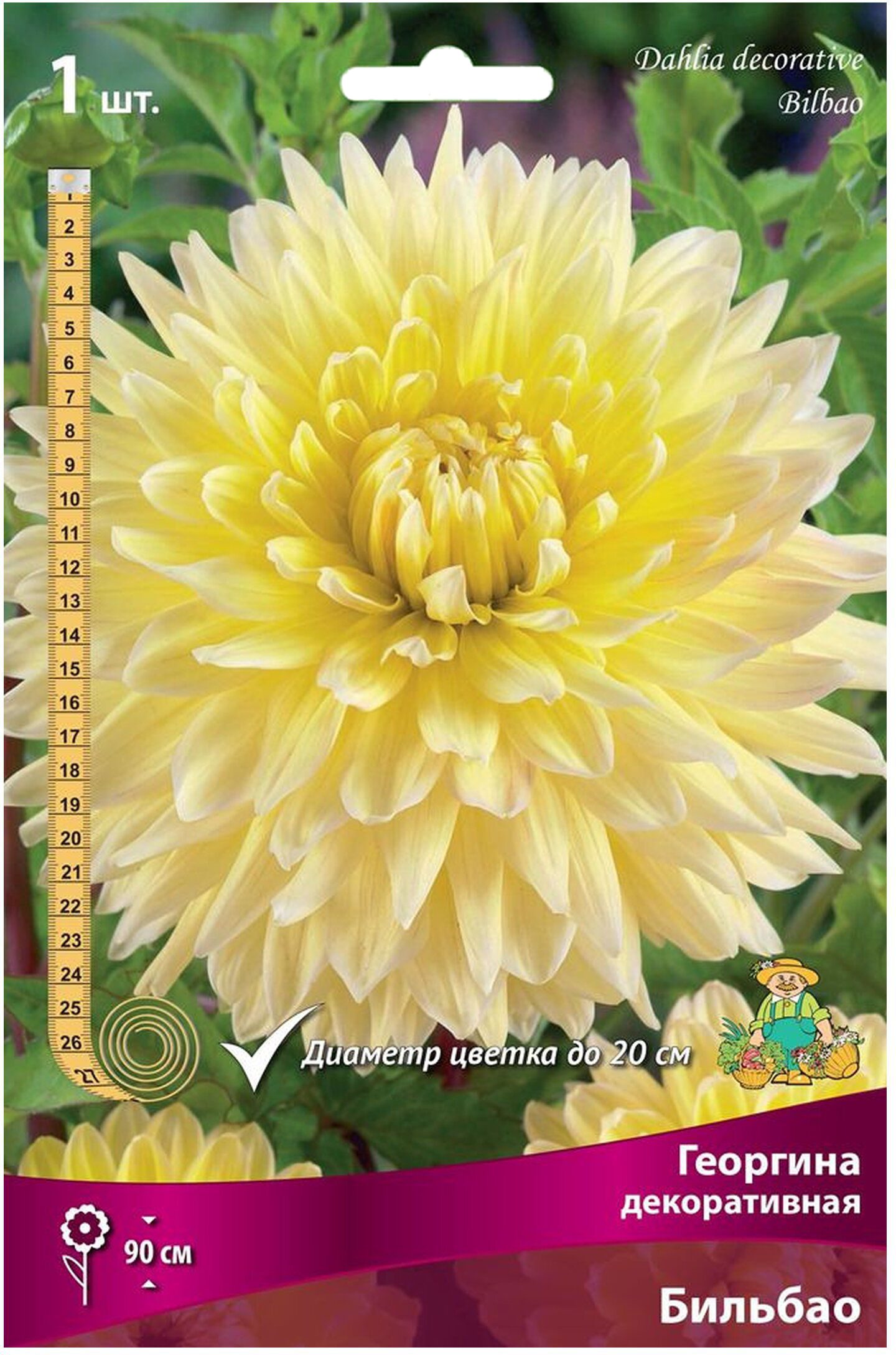 Изображение товара Клубень Георгины ПОИСК Бильбао