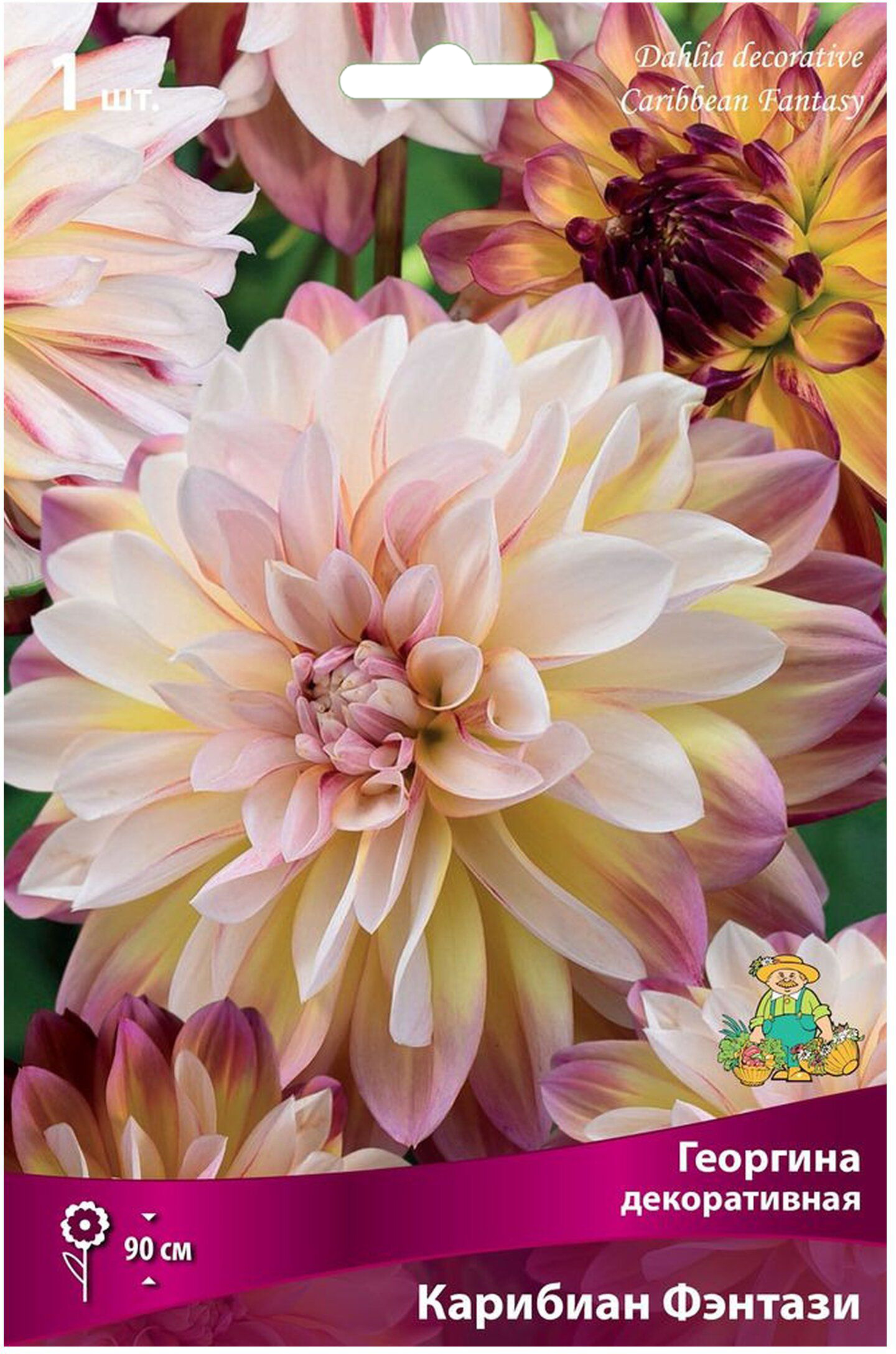 Изображение товара Клубень георгины ПОИСК Карибиан Фэнтази 1 шт