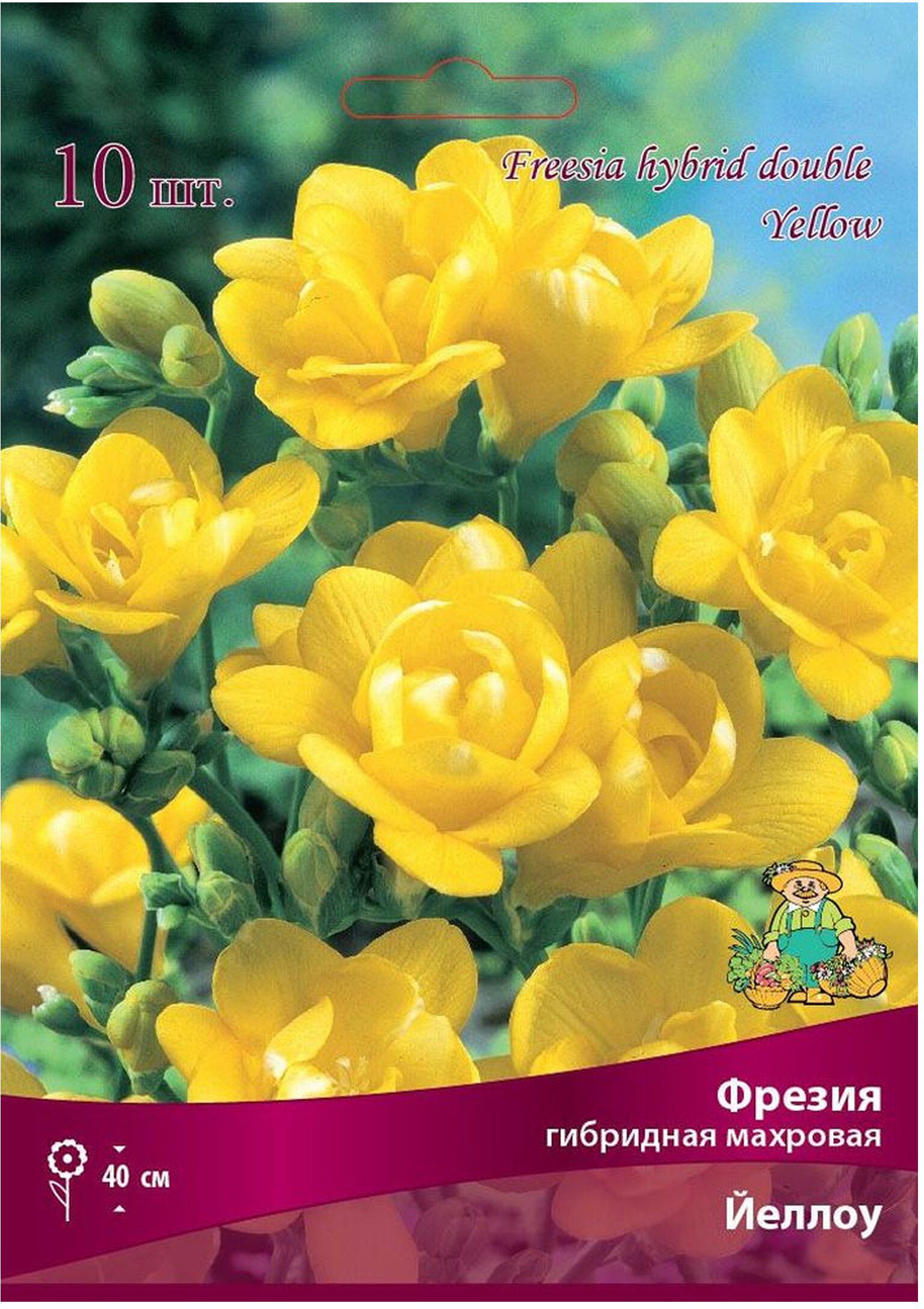 Изображение товара Луковицы фрезии ПОИСК Йеллоу 10 шт яркие махровые цветы