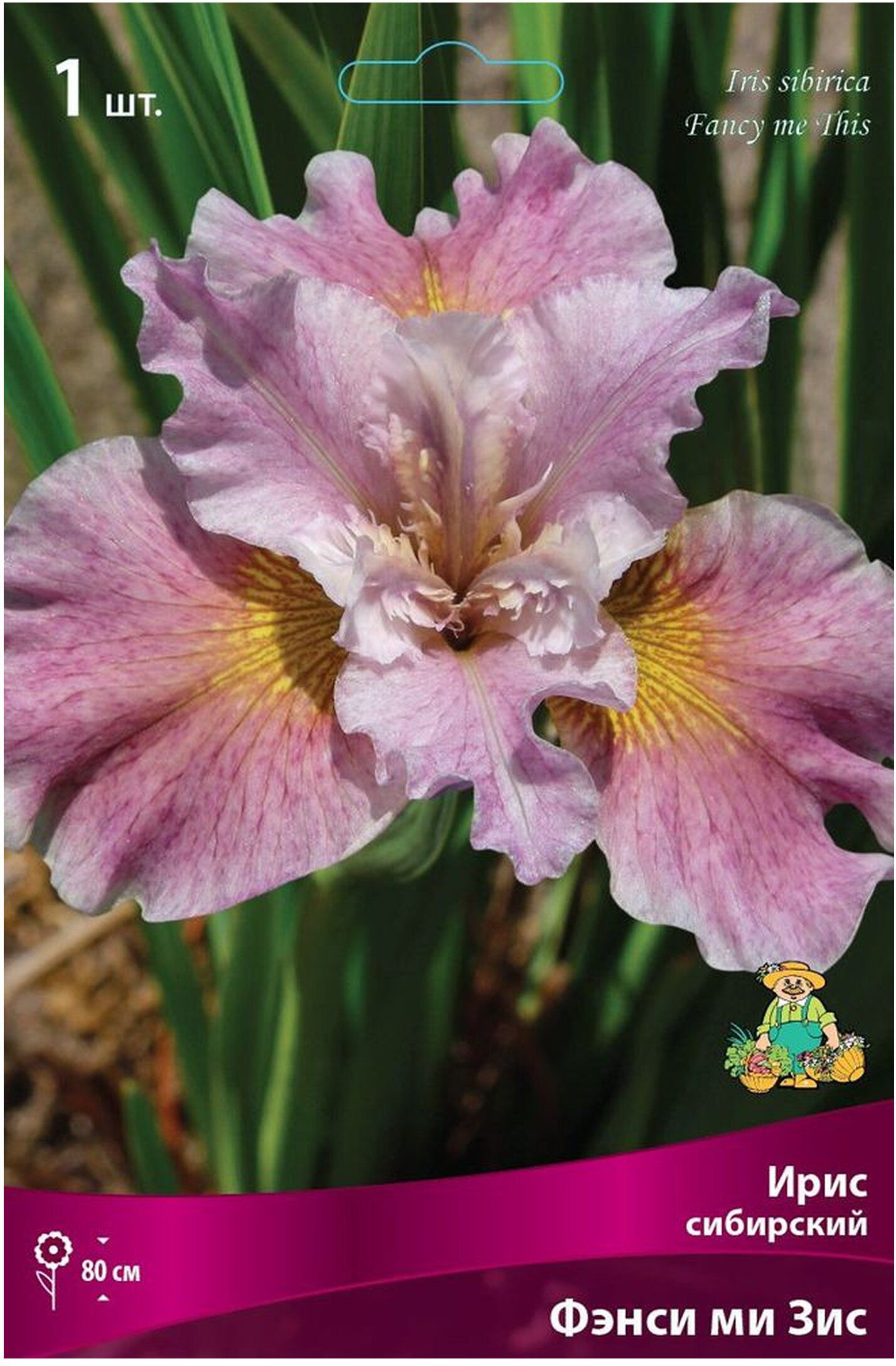 Изображение товара Луковица Ириса ПОИСК Фэнси ми Зис