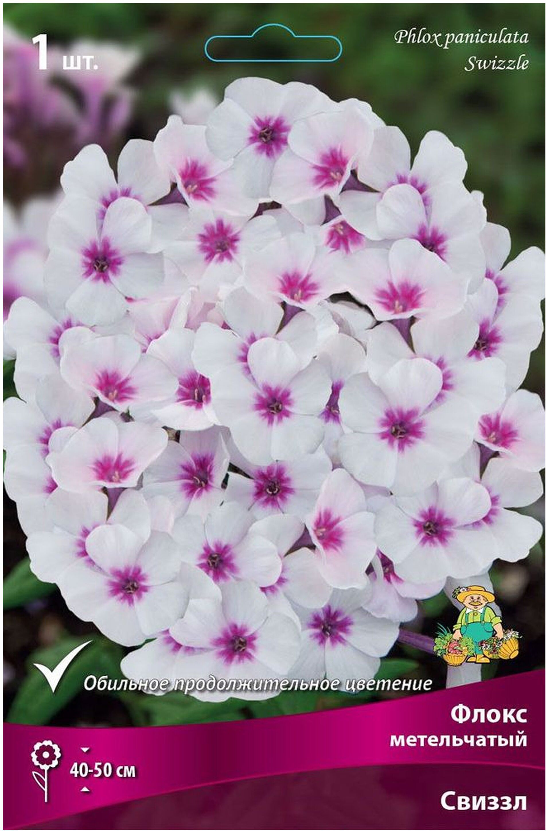 Изображение товара Корневище Флокса ПОИСК Свиззл