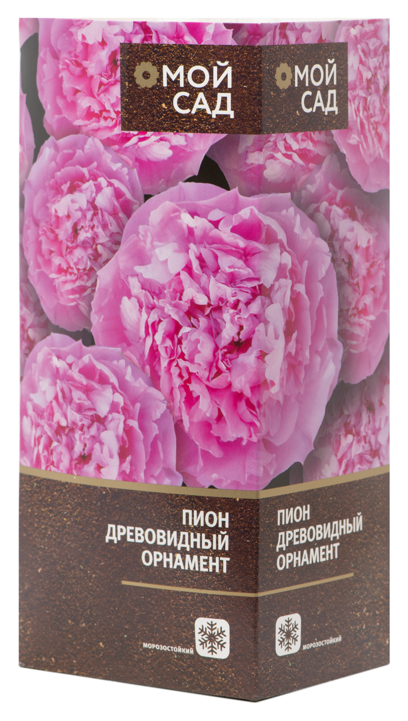 Изображение товара Саженец Пиона древовидного Орнамент для вашего сада