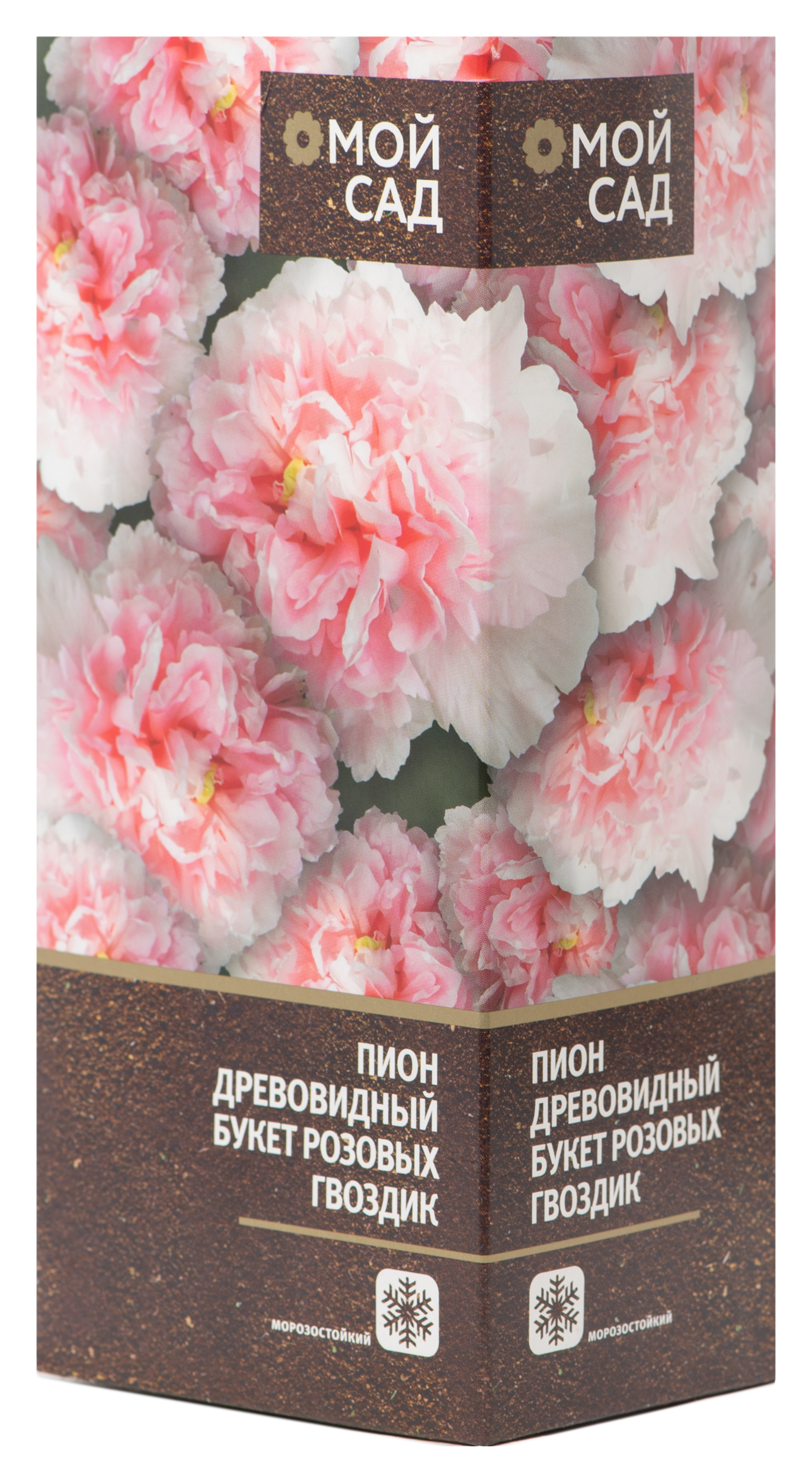 Изображение товара Саженец Пион древовидный Букет Розовых Гвоздик 1 шт