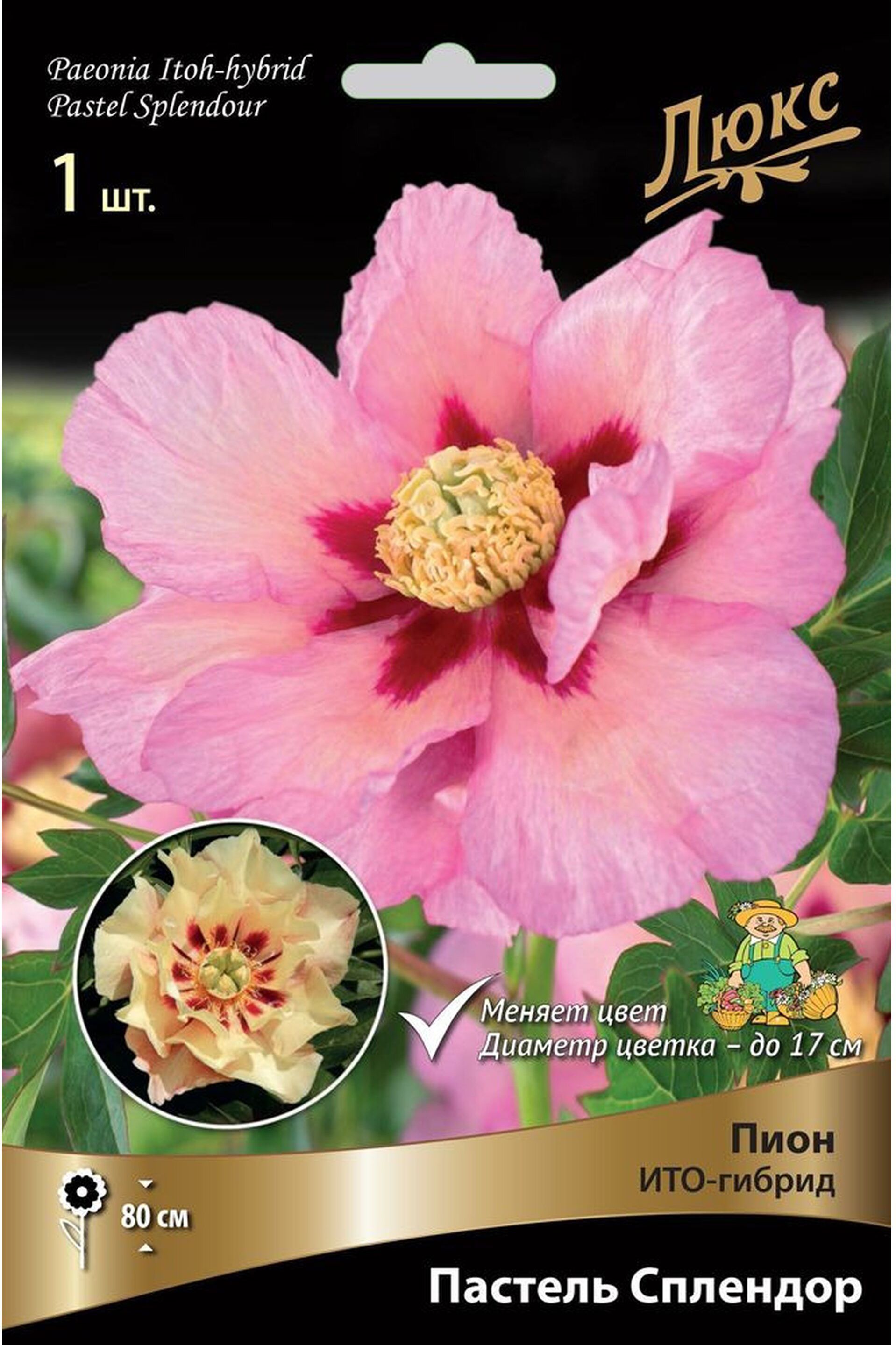 Изображение товара Корневище Пиона ПОИСК Люкс Пастель Сплендор