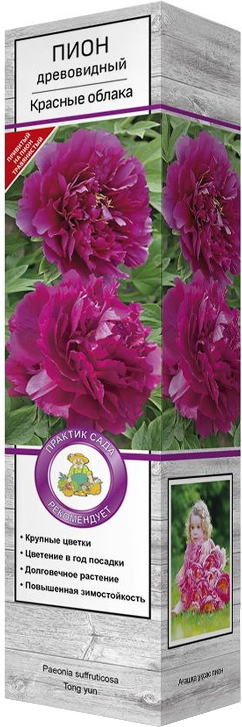 Изображение товара Саженец пион древовидный Красные облака C1 H37 цена 899 рублей