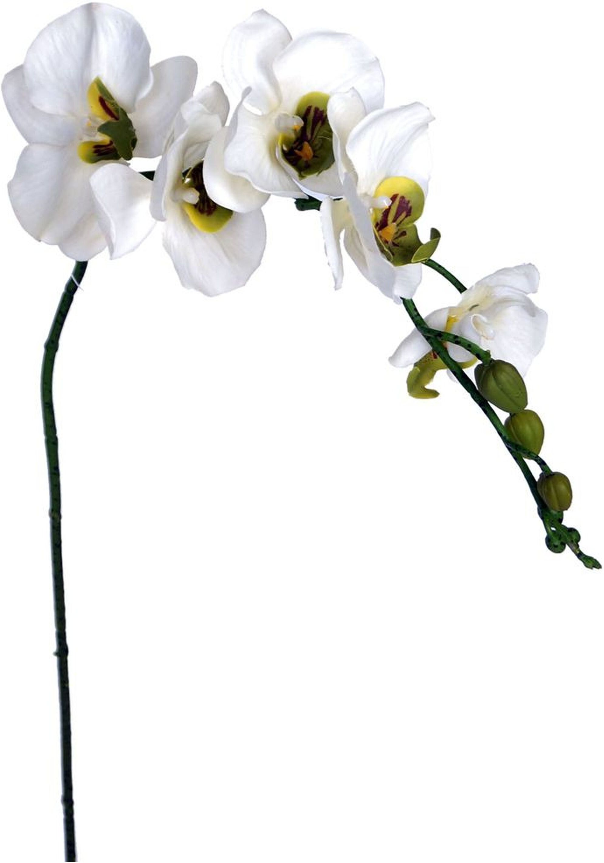 Изображение товара Искусственный цветок Орхидея кремовая 92 см