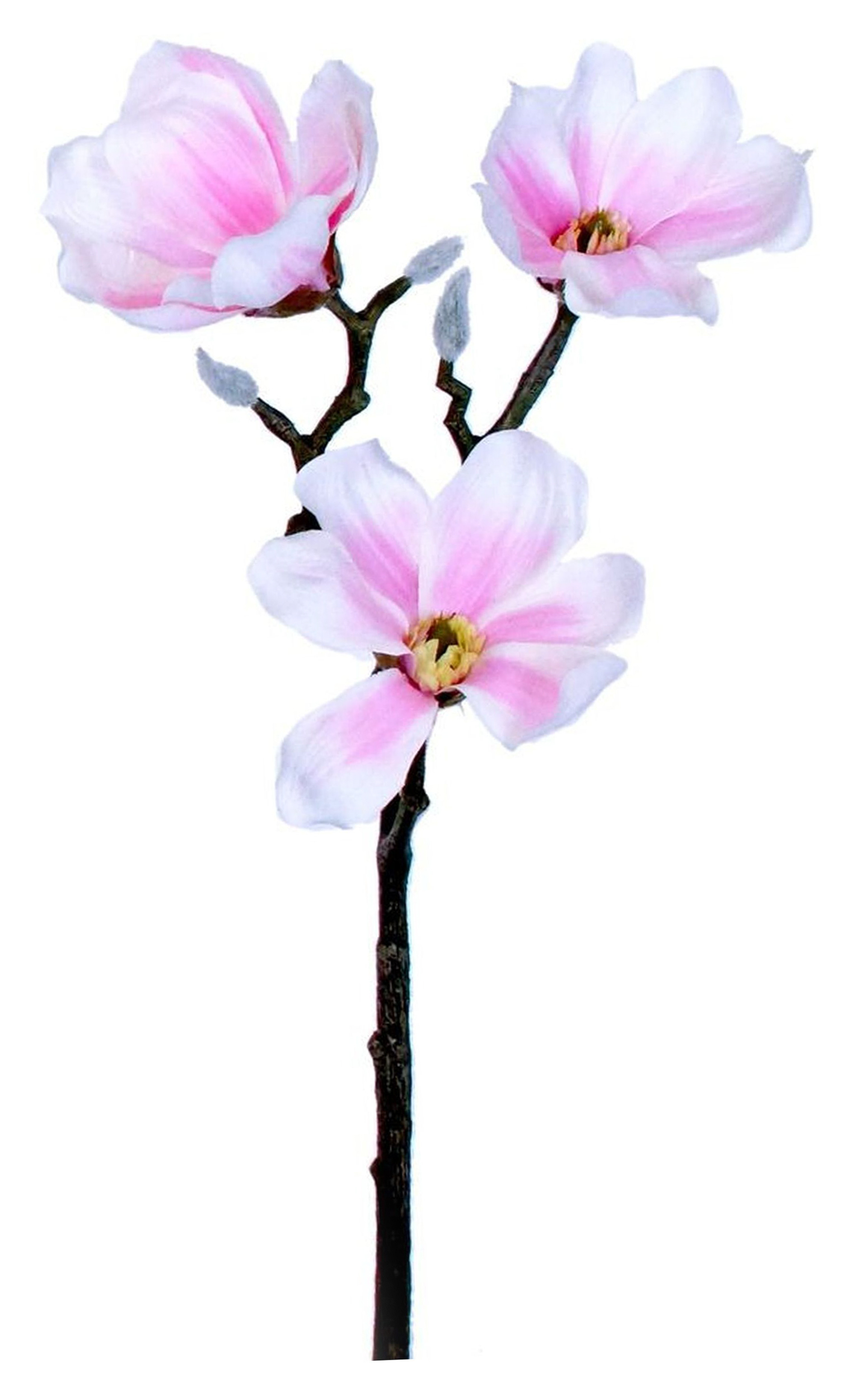 Изображение товара Искусственный цветок магнолия 55 см розовая