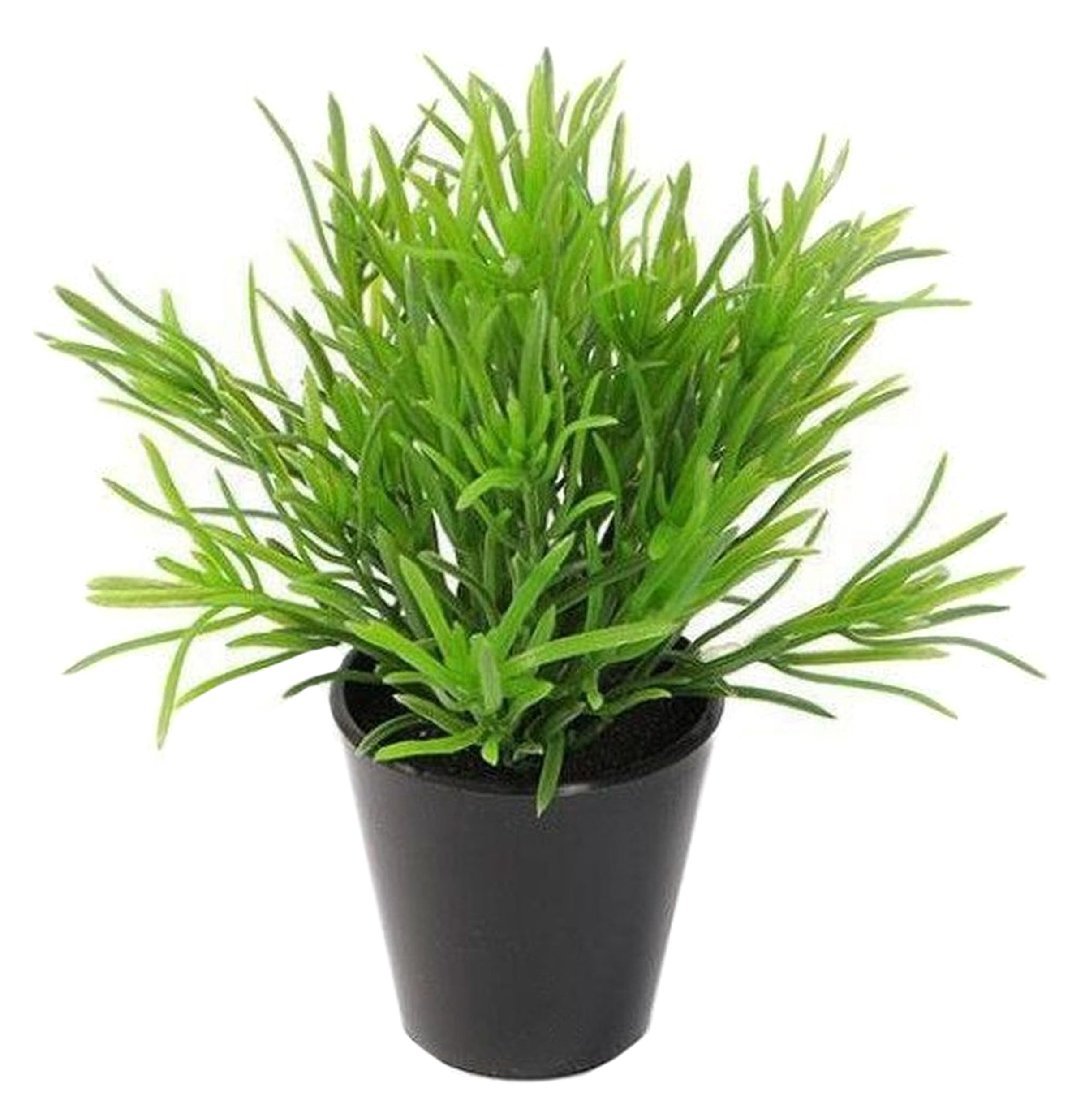 Изображение товара Искусственный цветок лук шаровидный 17 см в горшке