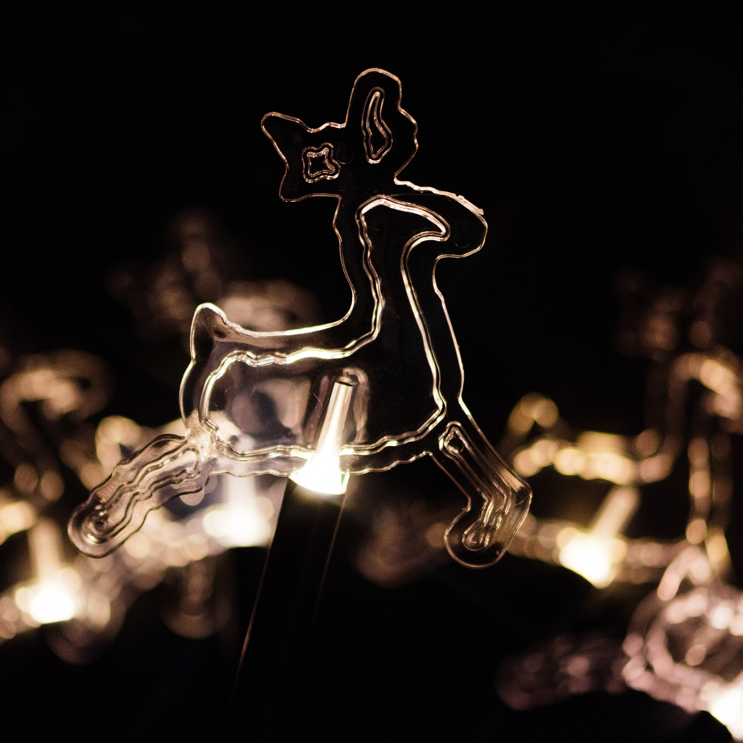 Изображение товара Световой декор олени Glos теплый белый 2 м