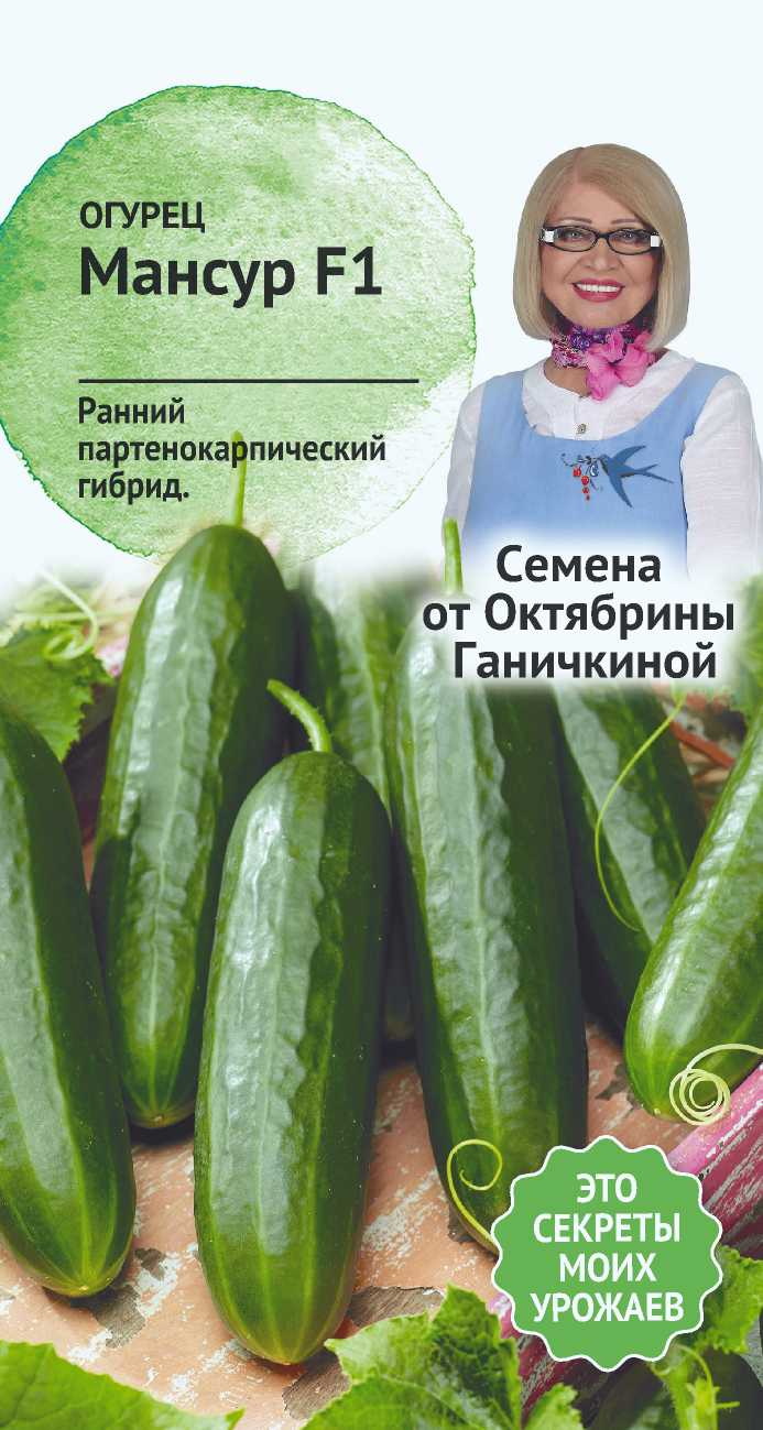 Изображение товара Семена Огурца Мансур 5 шт - высококлассный сорт для выращивания огурцов