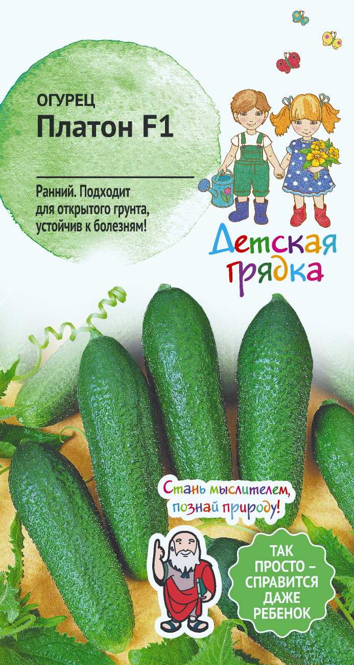 Изображение товара Семена Огурца Платон 7 штук для выращивания огурцов нужно посадить на участке
