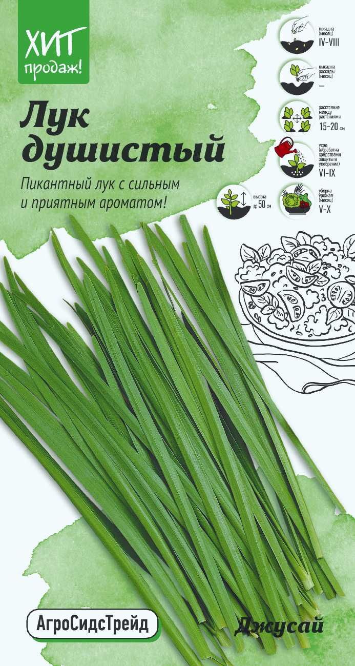 Изображение товара Семена лук душистый джусай АСТ 0,5г