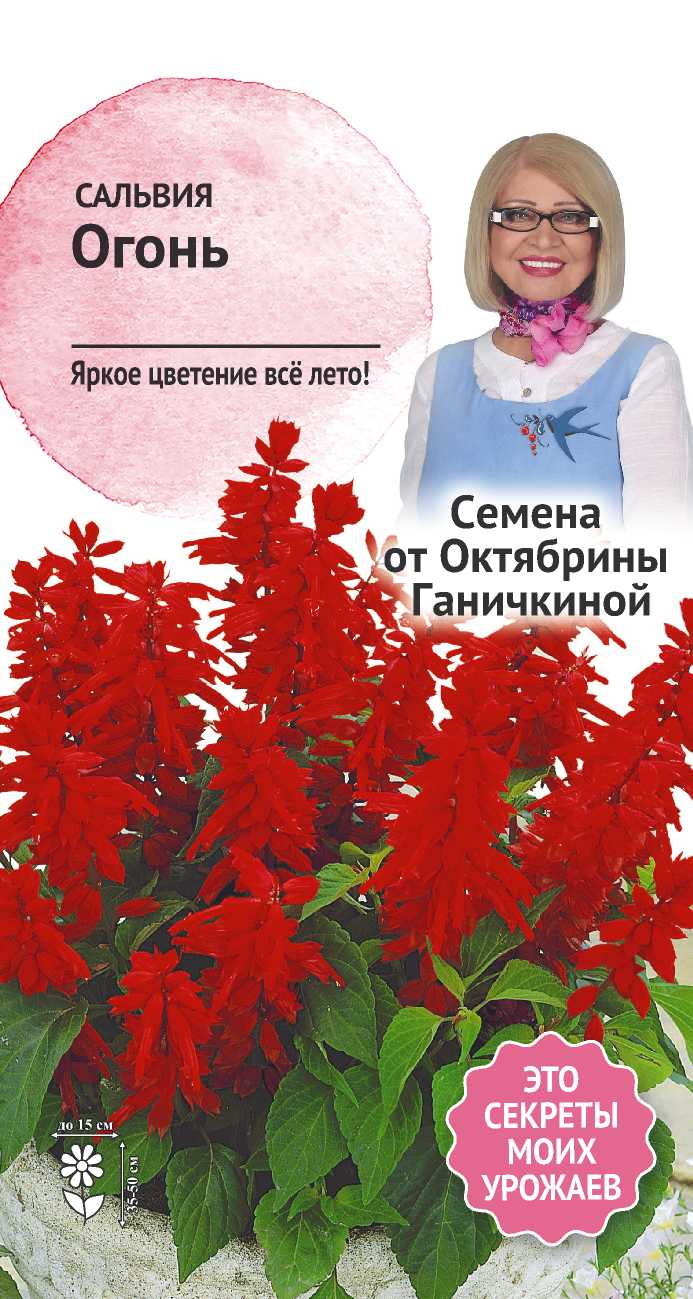 Изображение товара Семена Сальвия Огонь 0,1 г