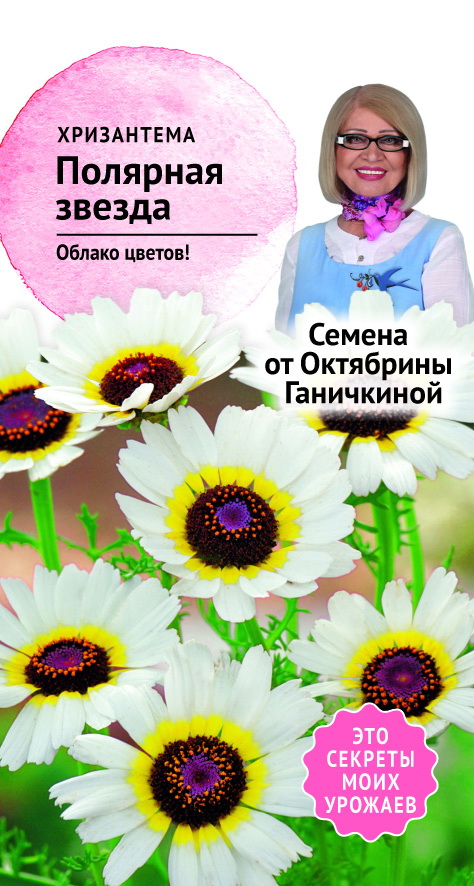 Изображение товара Семена Хризантема Полярная звезда 0,1 г