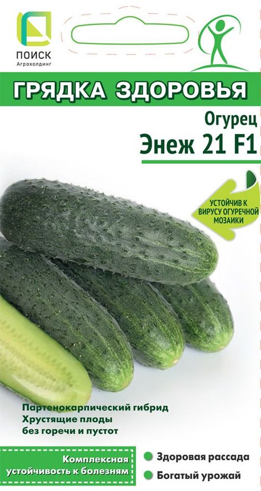 Изображение товара Семена Огурца Энеж 21 F1 12 шт - высокоурожайный гибрид для дачи