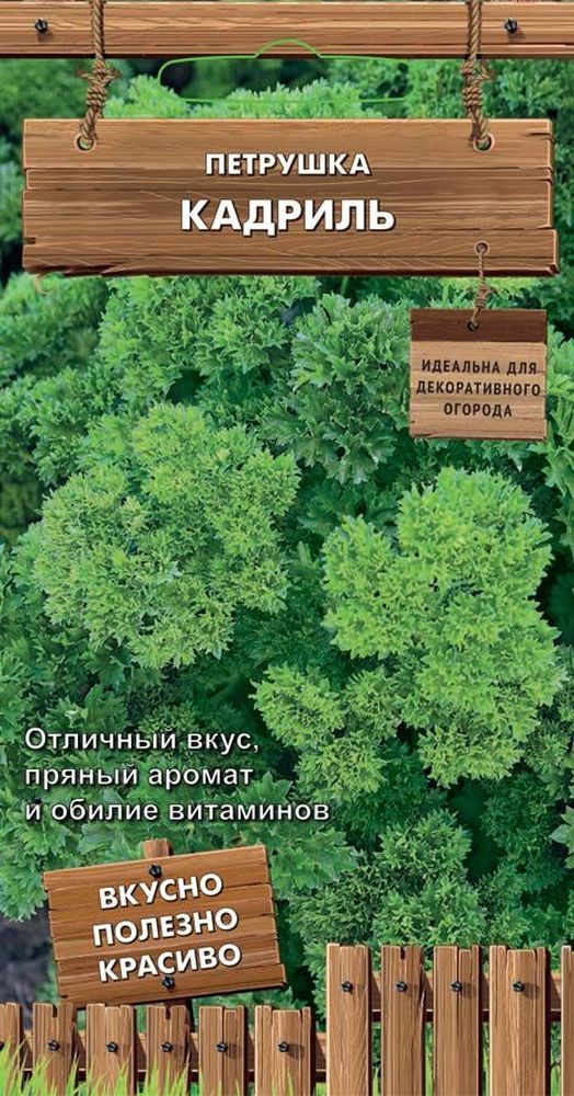 Изображение товара Семена Петрушки Кадриль 2 г