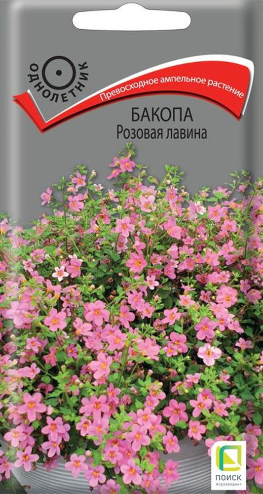 Изображение товара Семена Бакопы Розовая лавина 5 шт для вашего сада