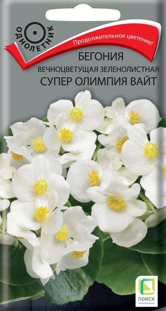Изображение товара Семена Бегонии Супер олимпия ред 15 шт